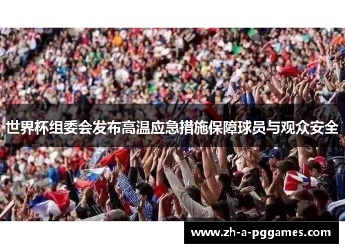 世界杯组委会发布高温应急措施保障球员与观众安全 世界杯组委会发布高温应急措施保障球员与观众安全